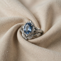 GEFRORENES BLATT RING