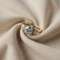 Goldene Erb-Ring