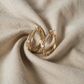 Elegante, glänzende Ohrhaken